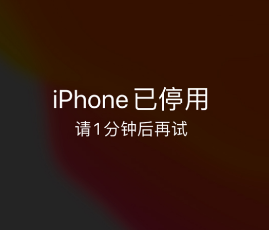 米林苹果手机维修分享:iPhone 显示“不可用”或“已停用”怎么办？还能保留数据吗？ 