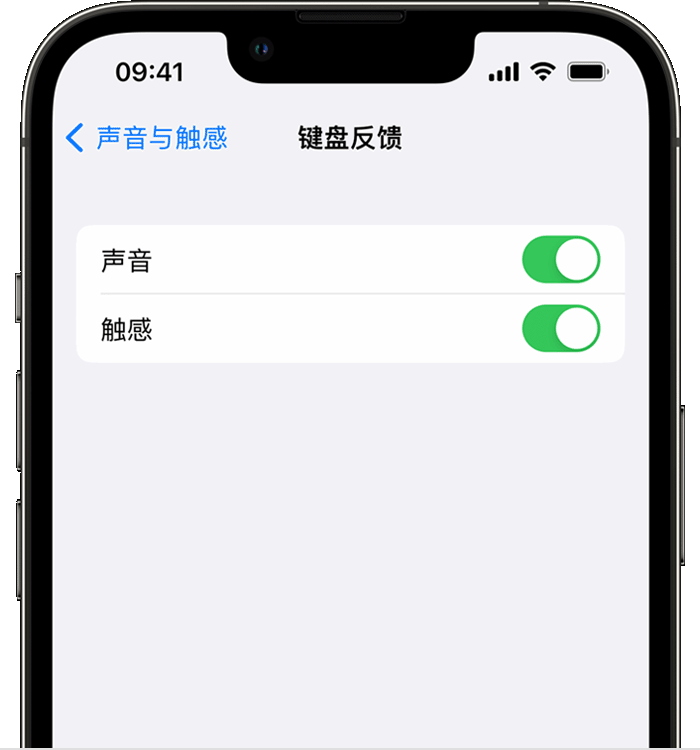 米林苹果14维修店分享如何在 iPhone 14 机型中使用触感键盘 