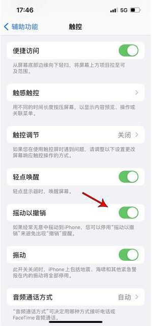 米林苹果手机维修分享iPhone手机如何设置摇一摇删除文字 